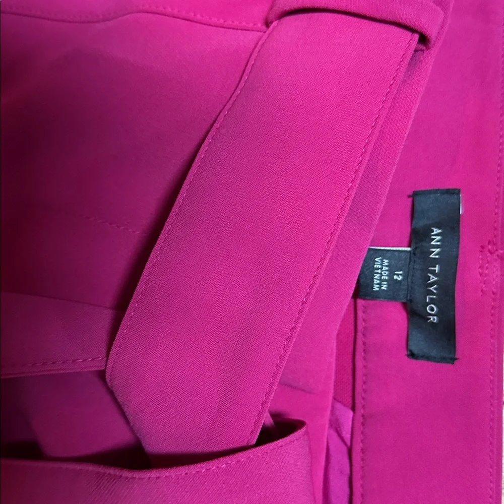 Ann Taylor Pink Ankle Pants NWT 12 - Picture 2 of 4